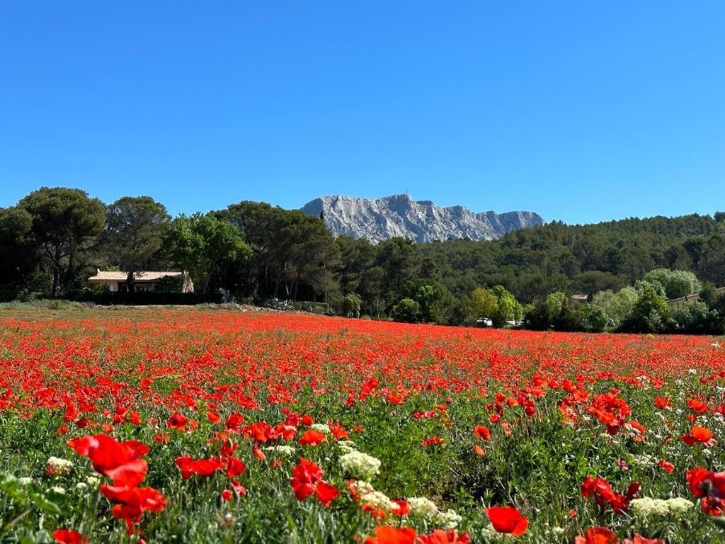 Villa Lumineuse Avec Piscine Clim 1Ere Etage Vue Panoramique Sur Les Montagnes Sur Le Site De La Sainte-Victoire Le Tholonet Luaran gambar